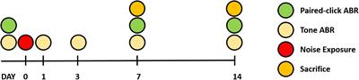 Auditory Brainstem Response to Paired Click Stimulation as an Indicator of Peripheral Synaptic Health in Noise-Induced Cochlear Synaptopathy